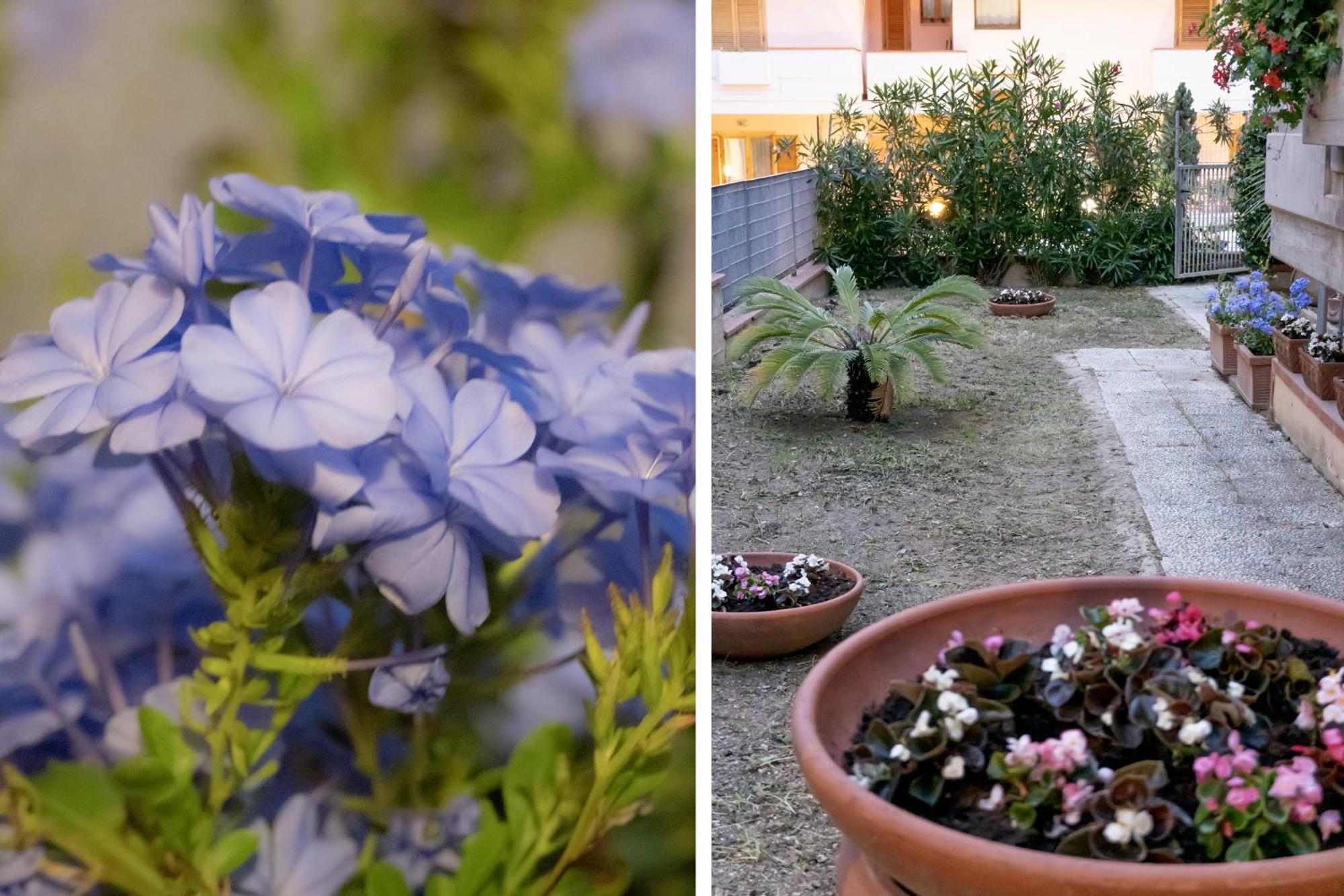 Апартаменты Il Giardino Чивитанова-Марке Экстерьер фото